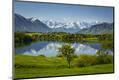 Photographic Print