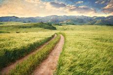 Vintage Picture of the Road in a Barley Field. Among Mountains-Ralko Vadim-Photographic Print