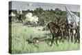 Stretched Canvas Print