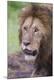 Premium Photographic Print
