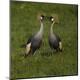 Premium Photographic Print