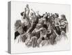 Stretched Canvas Print