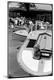 Premium Photographic Print