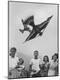 Photographic Print