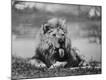 Photographic Print