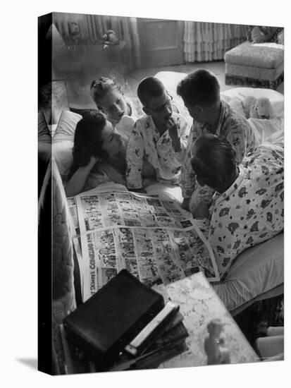 Stretched Canvas Print, , large