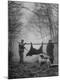 Photographic Print