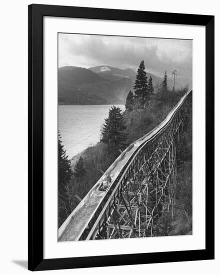 Photographic Print, , large