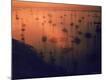 Premium Photographic Print