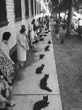 Owners with Their Black Cats, Waiting in Line For Audition in Movie "Tales of Terror"-Ralph Crane-Photographic Print