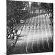 Premium Photographic Print