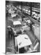 Premium Photographic Print