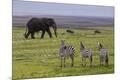 Premium Photographic Print