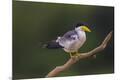Premium Photographic Print