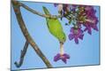 Photographic Print