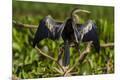 Premium Photographic Print