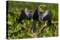 Stretched Canvas Print