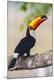 Premium Photographic Print