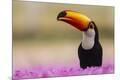 Premium Photographic Print