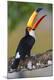 Premium Photographic Print