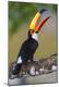 Premium Photographic Print