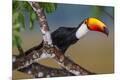 Premium Photographic Print