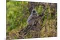 Photographic Print