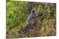 Premium Photographic Print