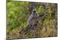 Premium Photographic Print