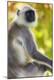 Premium Photographic Print
