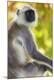 Premium Photographic Print