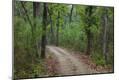 Premium Photographic Print