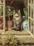 Blinking in the Sun, 1881-Ralph Hedley-Giclee Print