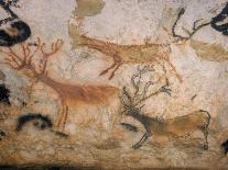 20,000 Year Old Lascaux Cave Painting Done by Cro-Magnon Man in the Dordogne Region, France-Ralph Morse-Photographic Print