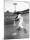 Premium Photographic Print