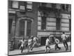Photographic Print