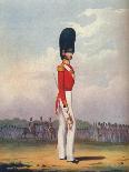 Officer of the Coldstream Guards (Winter Dress), 19th Century (1909)-Ralph Nevill-Giclee Print