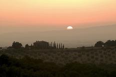 Fields in Tuscany with Hills Beyond-Ralph Richter-Premier Image Canvas