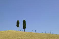 Fields in Tuscany with Hills Beyond-Ralph Richter-Photographic Print