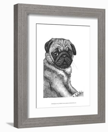 Ralph the Pug-Beth Thomas-Framed Art Print
