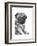 Ralph the Pug-Beth Thomas-Framed Art Print