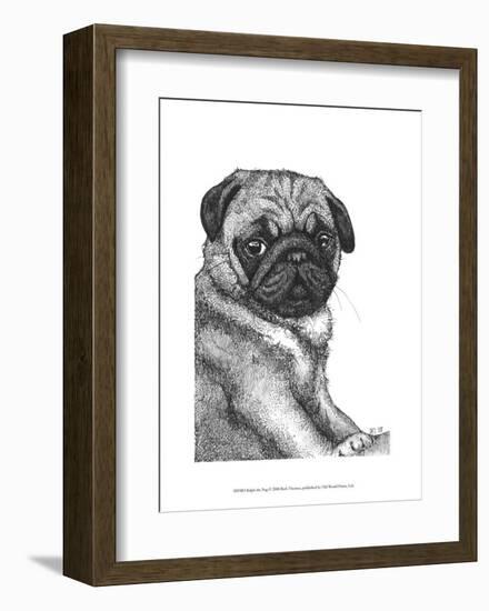 Ralph the Pug-Beth Thomas-Framed Art Print