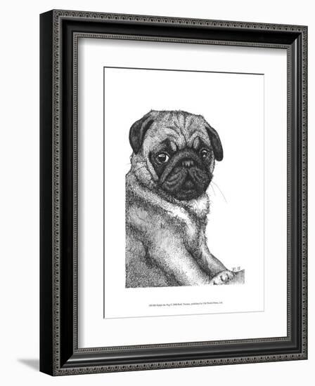 Ralph the Pug-Beth Thomas-Framed Art Print