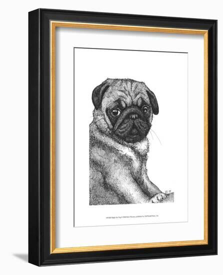 Ralph the Pug-Beth Thomas-Framed Art Print