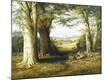 Premium Giclee Print