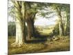 Giclee Print