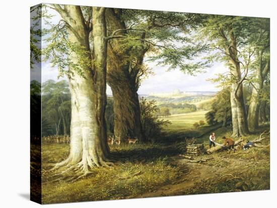 Stretched Canvas Print, , large
