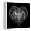 Ram Head Black Mesh-Lisa Kroll-Framed Stretched Canvas