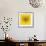 Ram Head Yellow Mesh-Lisa Kroll-Framed Premium Giclee Print displayed on a wall