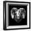 Ram Head-Lisa Kroll-Framed Art Print